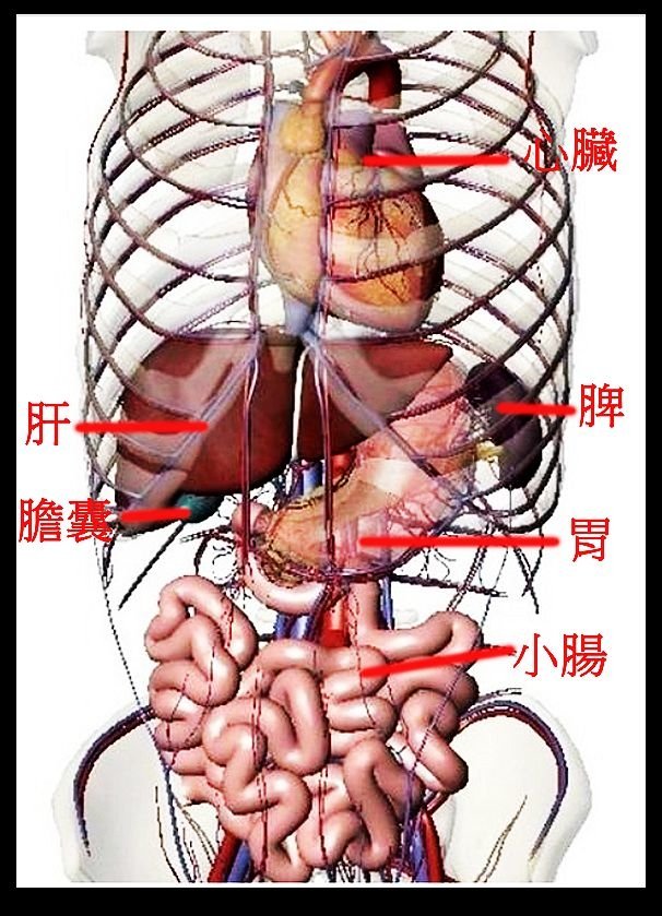 身體的秘密