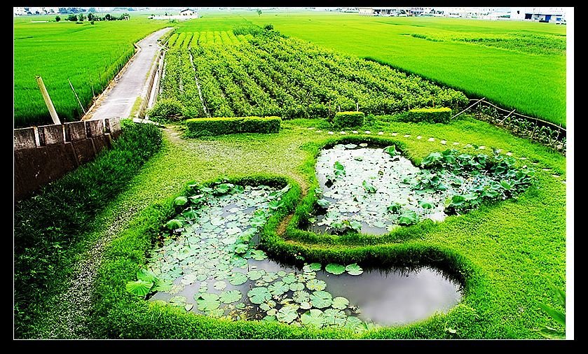 雙心池糖