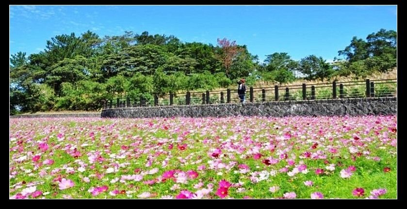 雙湖森林公園