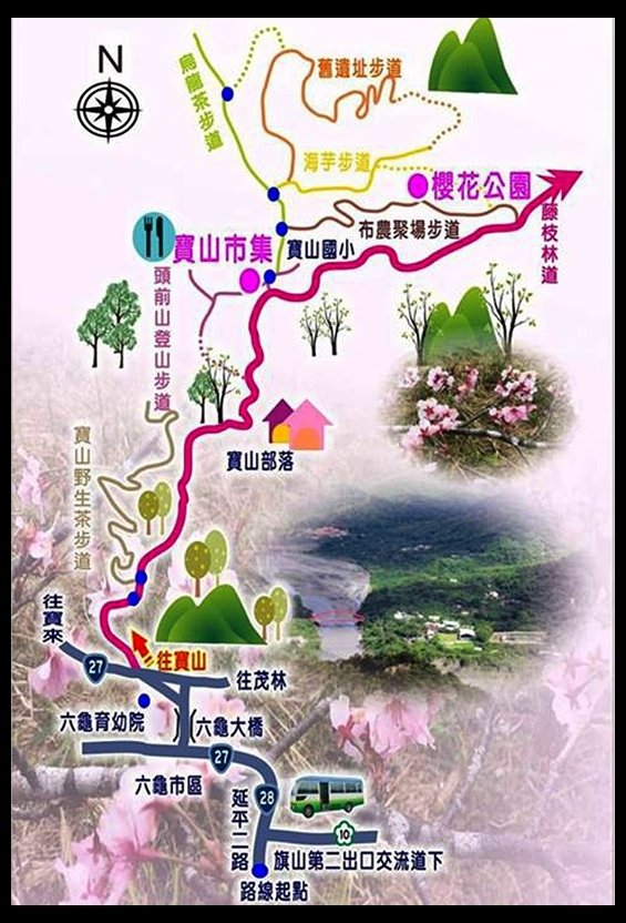 寶山櫻花公園櫻花季