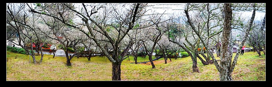 a未命名_全景8.jpg