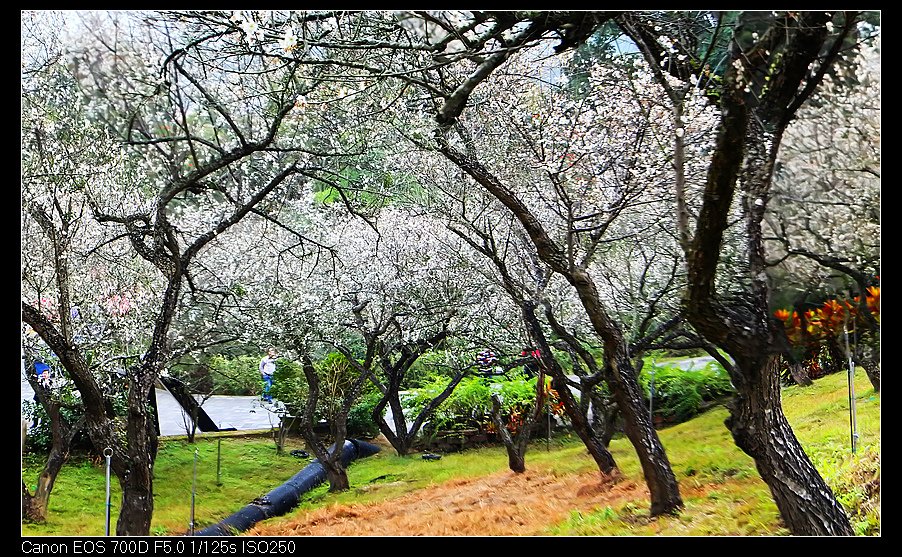 a未命名_全景10.jpg