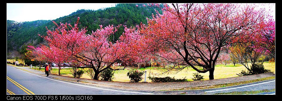 未命名_全景9.jpg