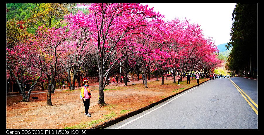 未命名_全景14.jpg