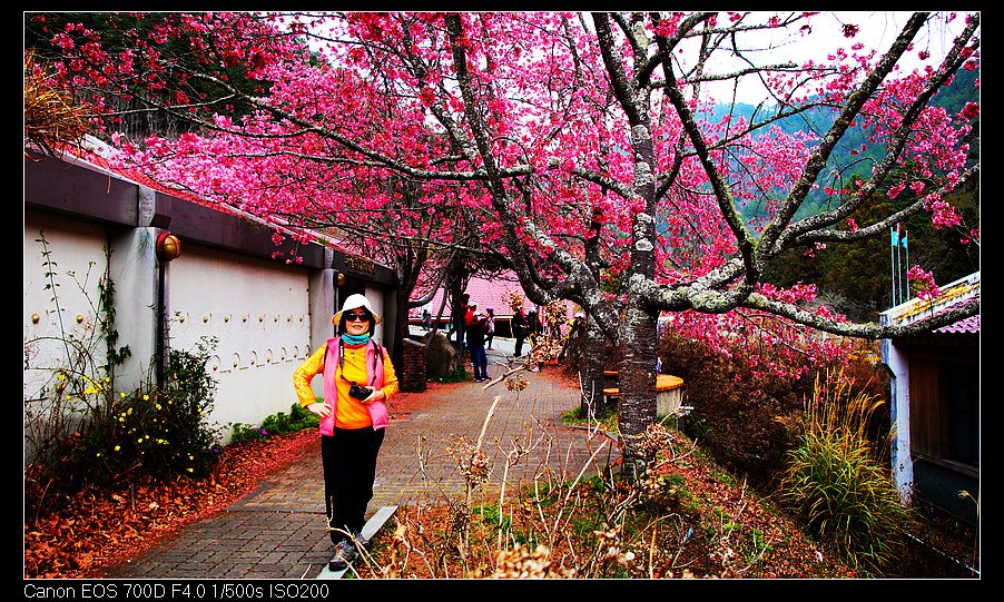 未命名_全景28.jpg