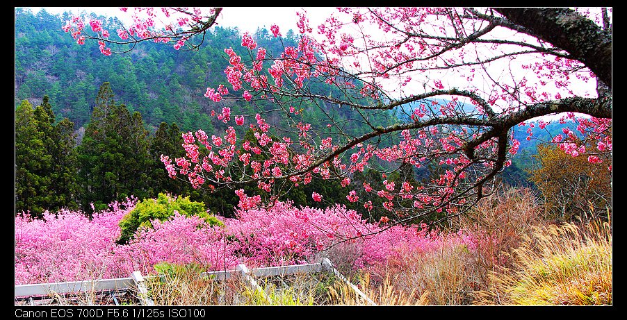 未命名_全景33.jpg