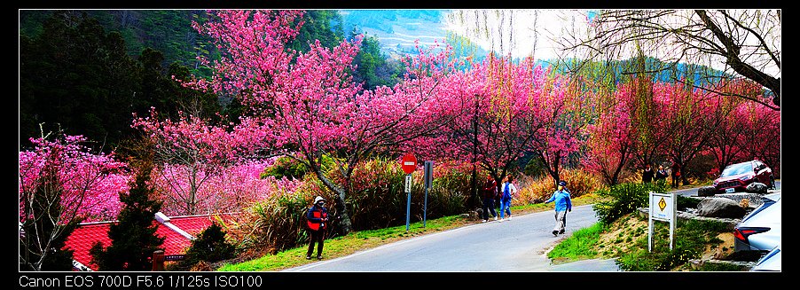 未命名_全景41.jpg