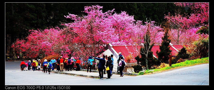 未命名_全景40.jpg