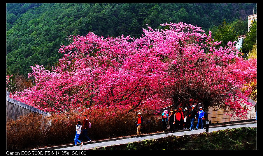 未命名_全景45.jpg