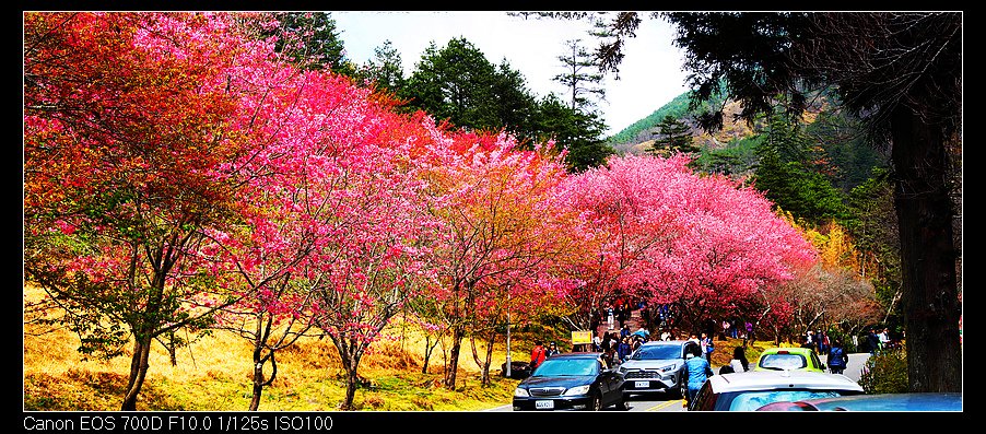 未命名_全景59.jpg