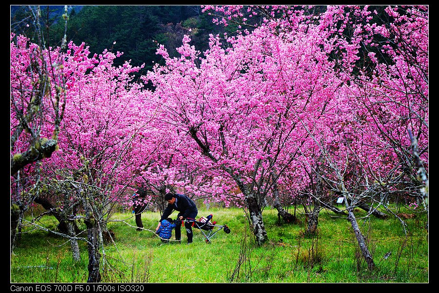 未命名_全景93.jpg