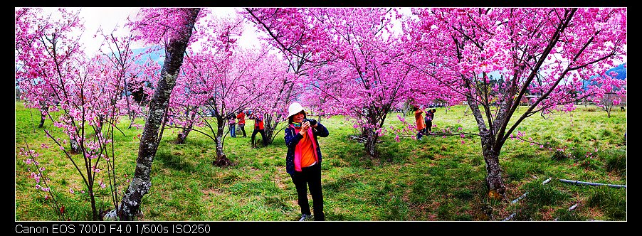 未命名_全景102.jpg