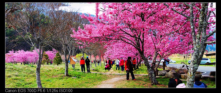 未命名_全景108.jpg