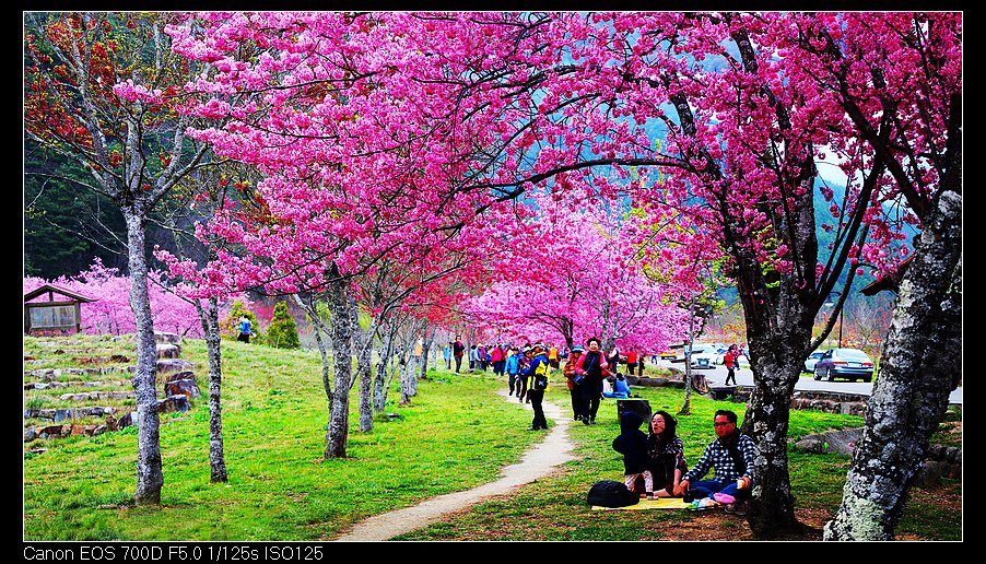 未命名_全景113.jpg