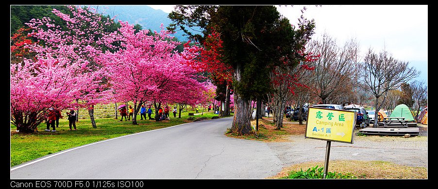 未命名_全景114.jpg