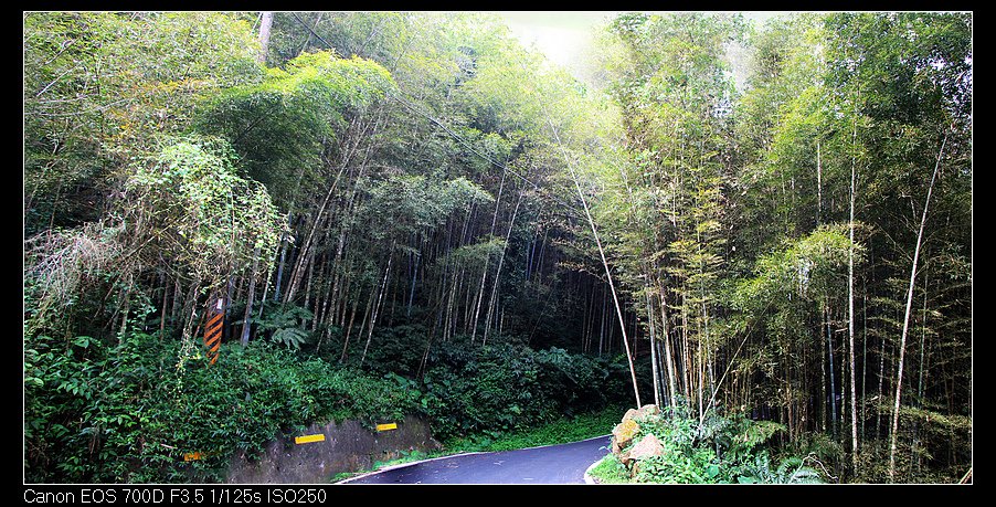 未命名_全景10.jpg