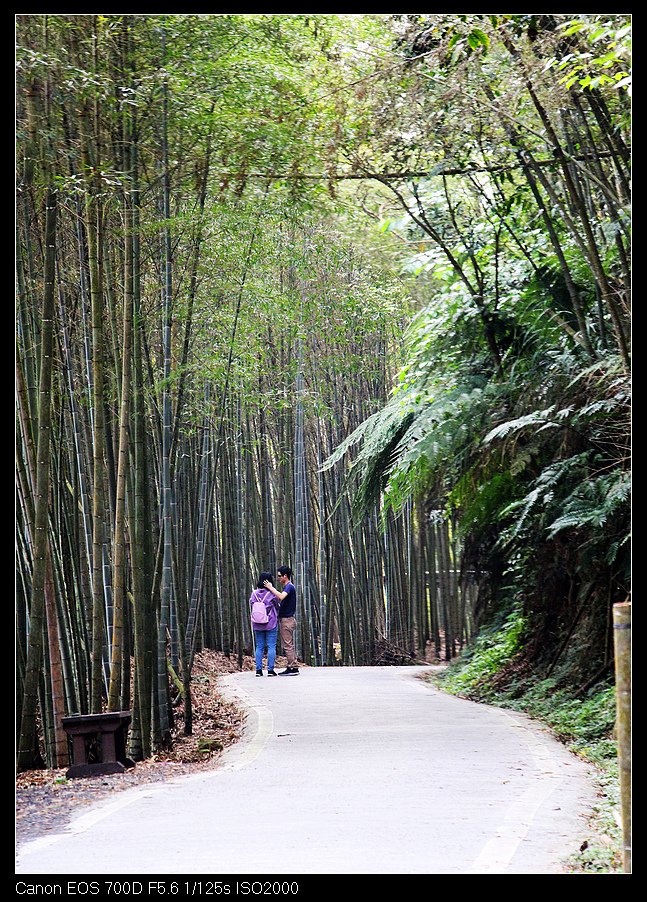 未命名_全景22.jpg