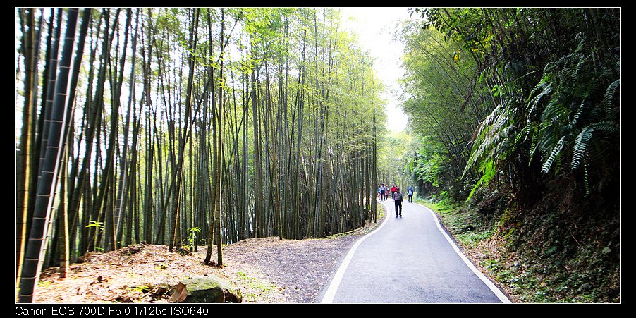 未命名_全景30.jpg