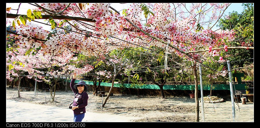 未命名_全景21.jpg