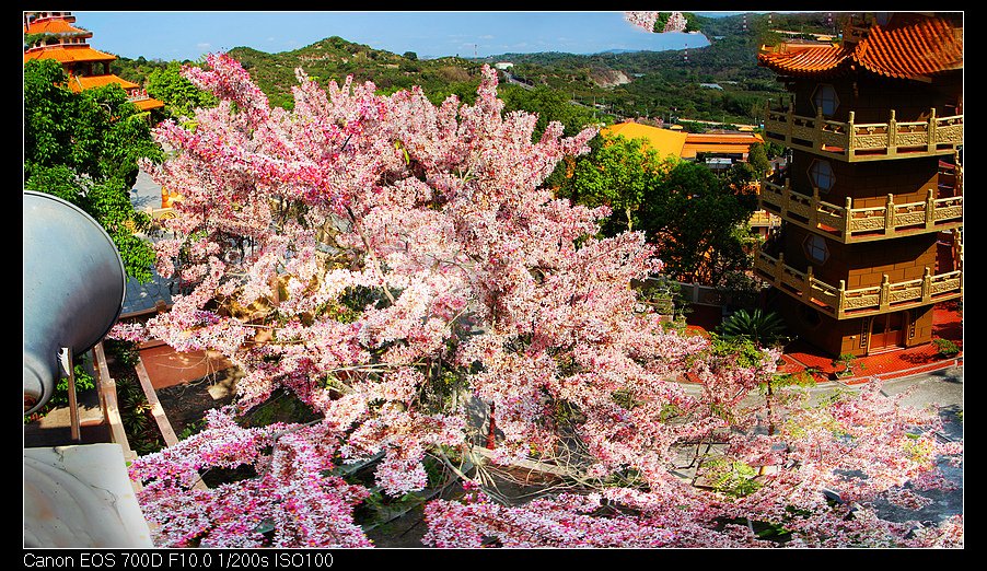 未命名_全景25.jpg