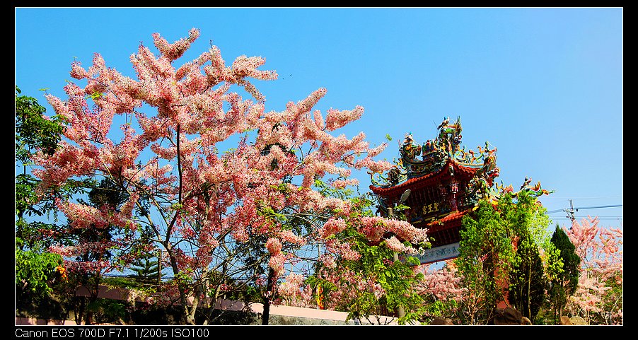 未命名_全景41.jpg