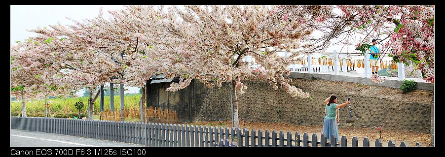 未命名_全景8.jpg