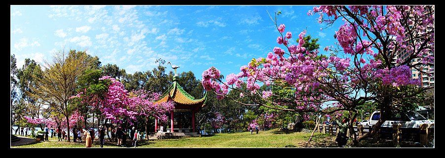 未命名_全景10.jpg