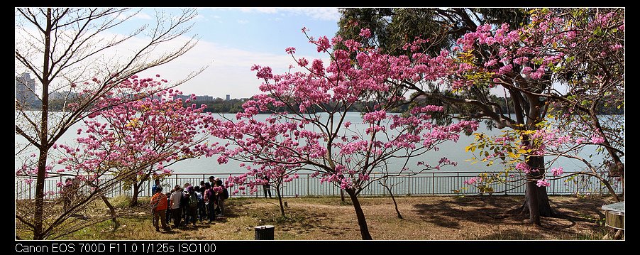 未命名_全景9.jpg