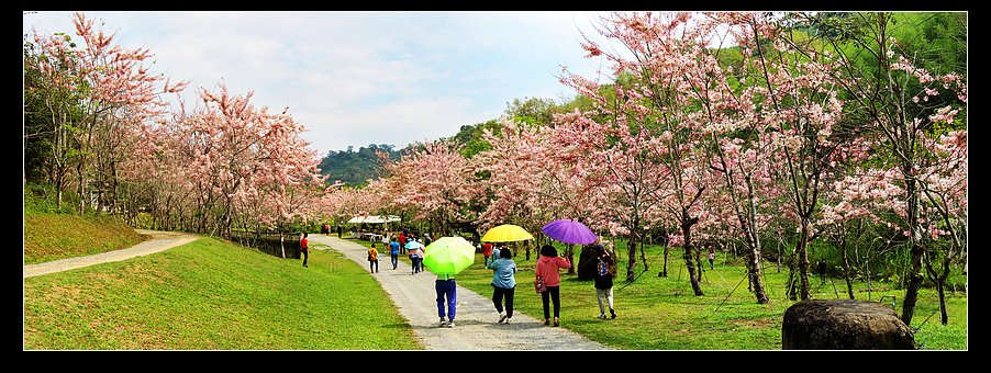 未命名_全景5.jpg