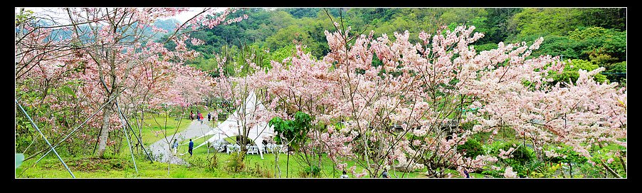 未命名_全景14.jpg