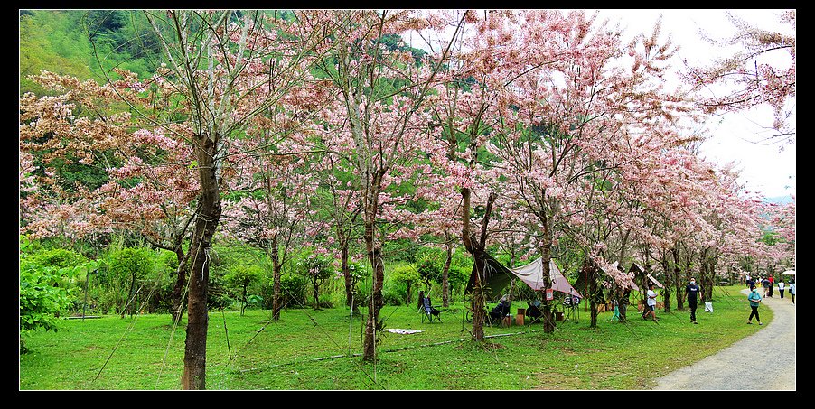 未命名_全景20.jpg