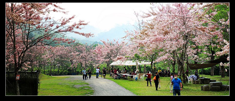 未命名_全景27.jpg