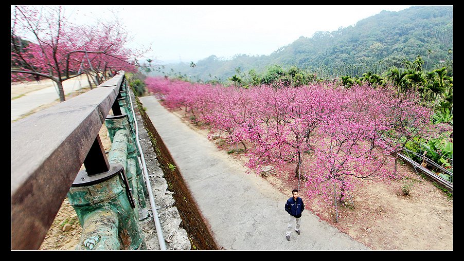 未命名_全景5.jpg