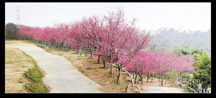 未命名_全景8.jpg