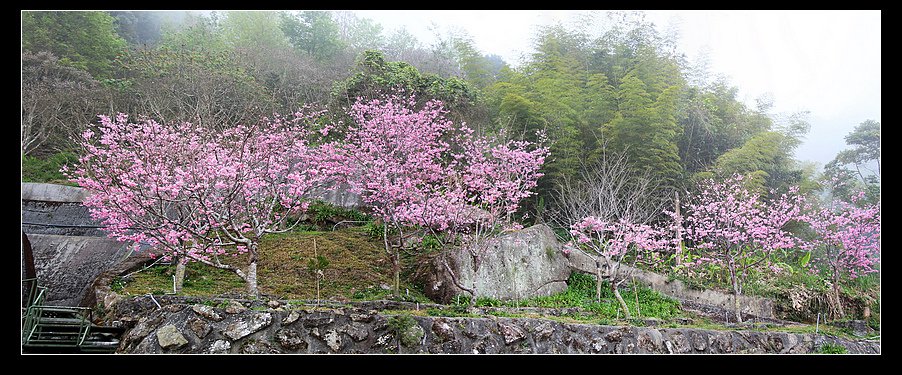 未命名_全景1.jpg