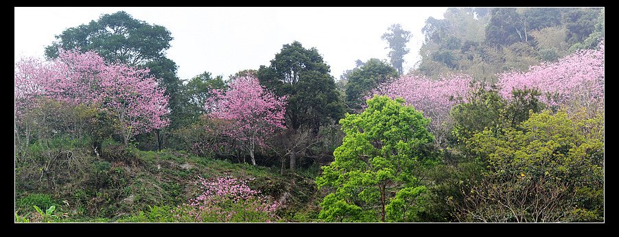 未命名_全景2.jpg