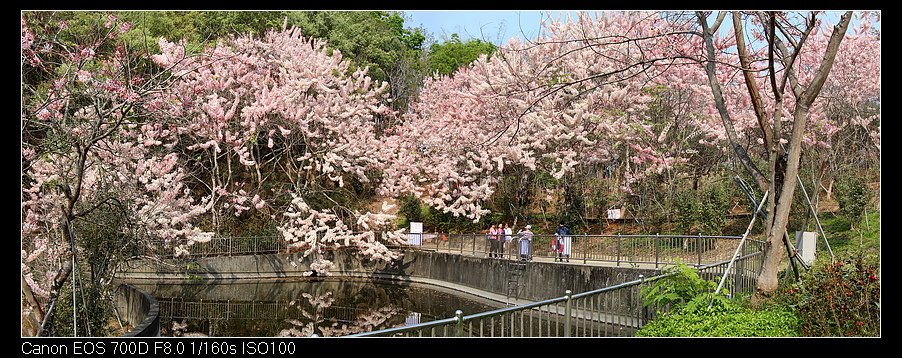 未命名_全景3.jpg