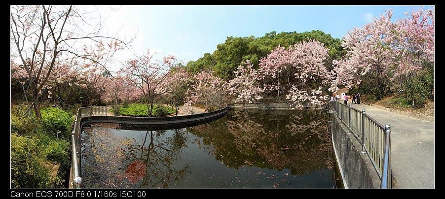 未命名_全景4.jpg