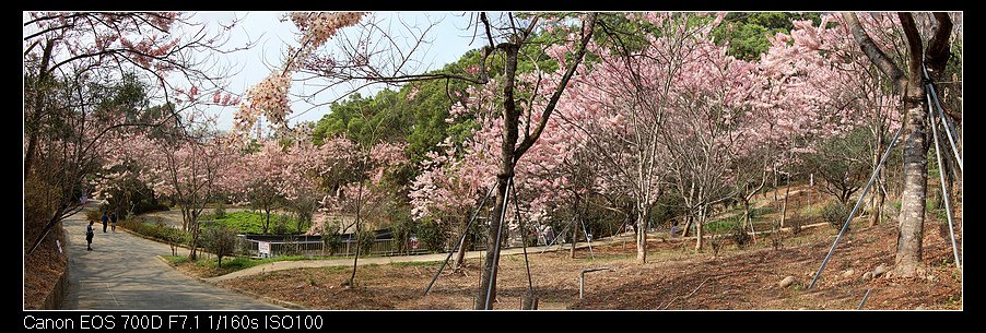 未命名_全景7.jpg