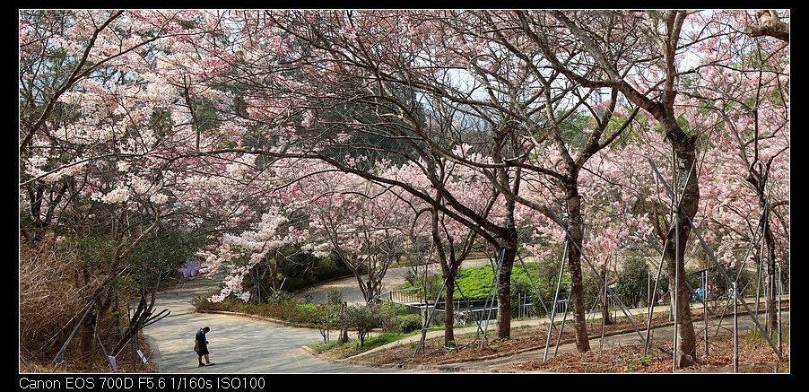 未命名_全景9.jpg