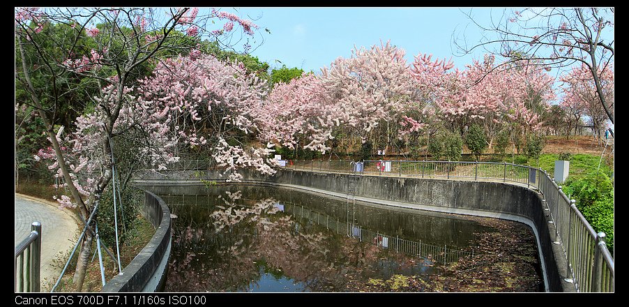 未命名_全景10.jpg