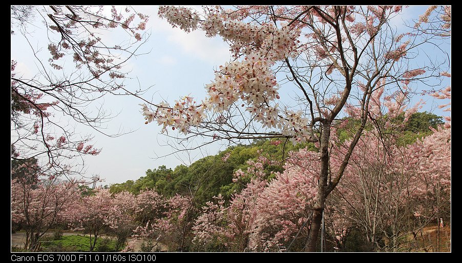 未命名_全景11.jpg