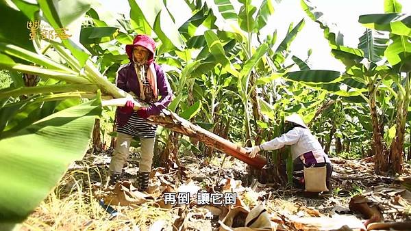 #11-傾心山海的獵人[19-40-37]