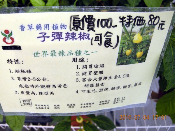 DSCN4687.JPG