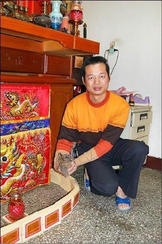 跑到 許峰鳴 中的鵪鶉   和黏在八仙彩上的 筊杯.jpg