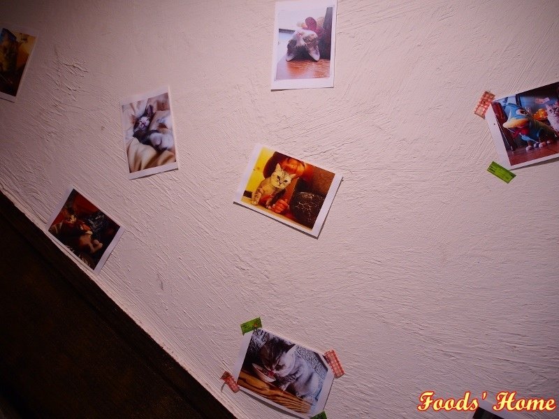 P7191840 (800x600)