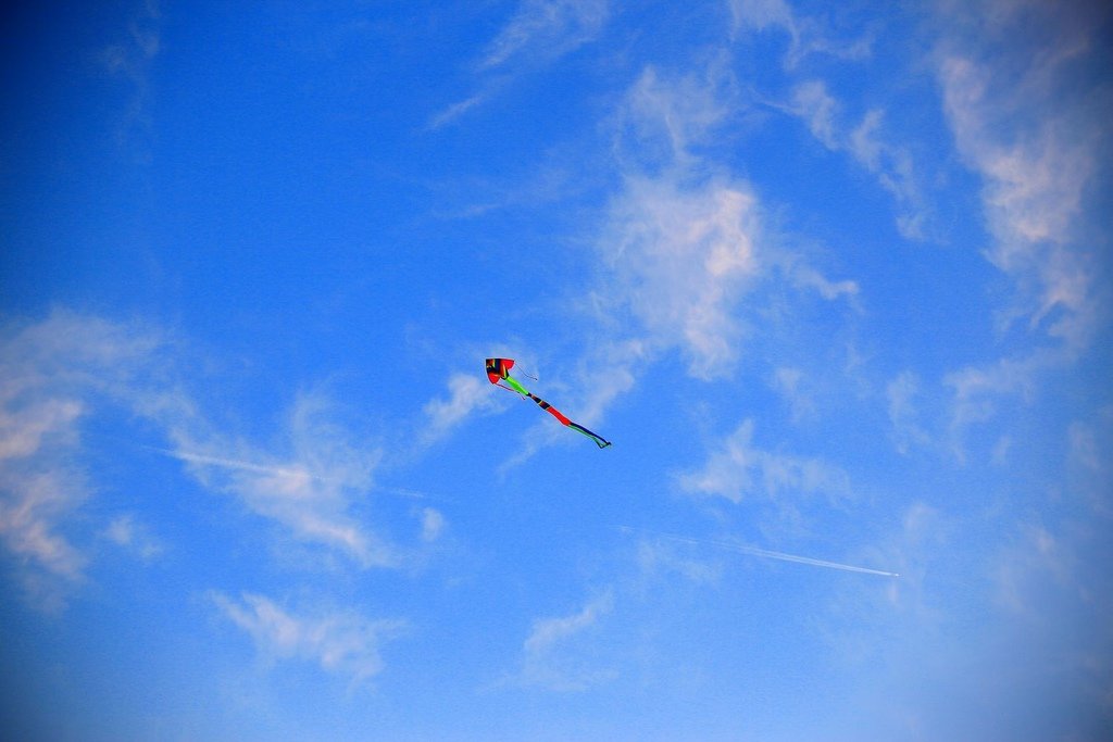 nEO_IMG_IMG_9466.jpg