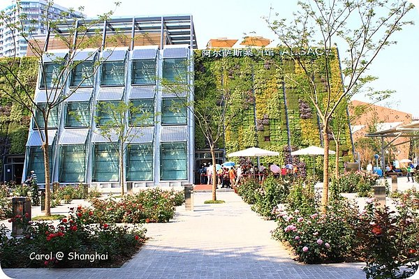 Blog 2010上海世博城市館 17.JPG