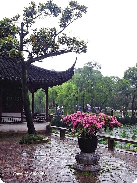 拙政園 19.JPG