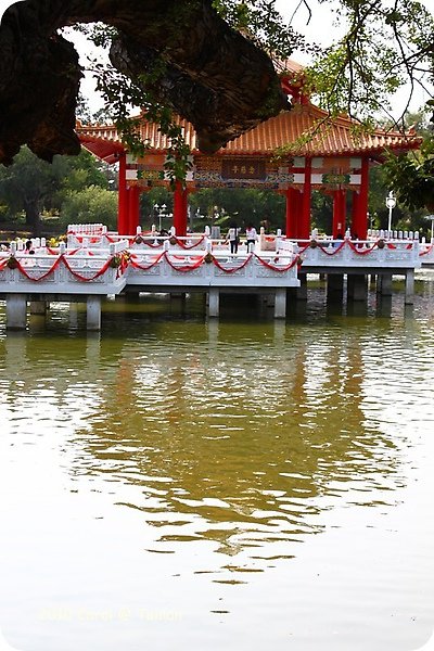 2010台南公園賞花季 08.JPG